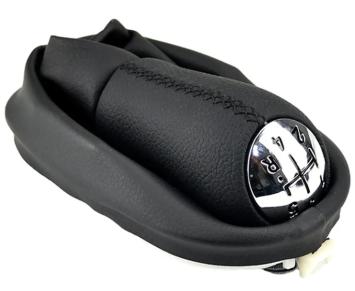 renault scenic pookknop