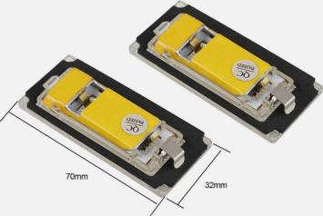 LED Canbus Mini Cooper R50 R52 R53 kentekenverlichting (2 stuks)
